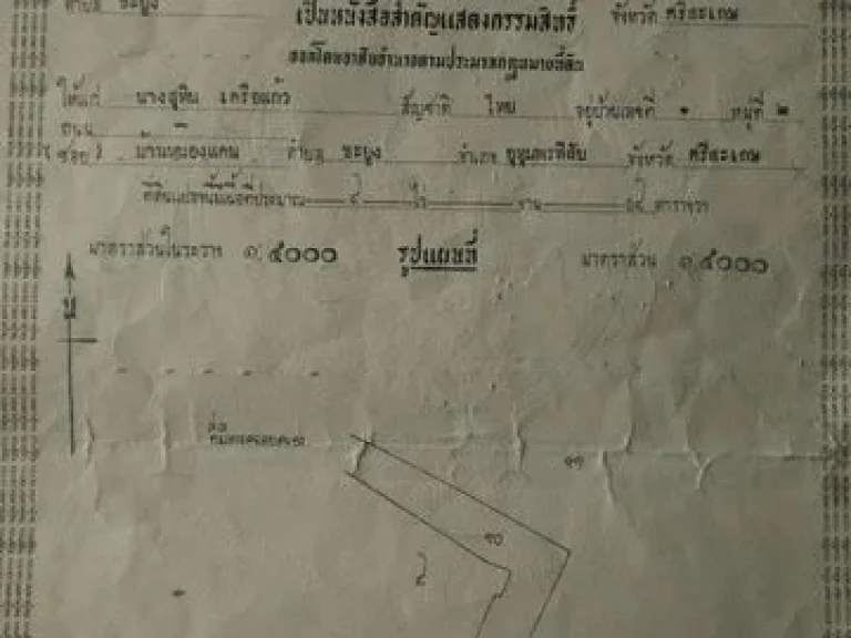 ขายที่ดิน 9 ไร่ 80 ตรว มีโฉนด ติดถนน การเดินทางคมนาคมสะดวก ตขะยง ออทุมพรพิสัย จศรีษะเกษ