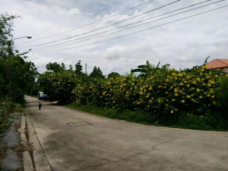 ขายที่ดินย่านถนนปู่เจ้าสมิงพราย