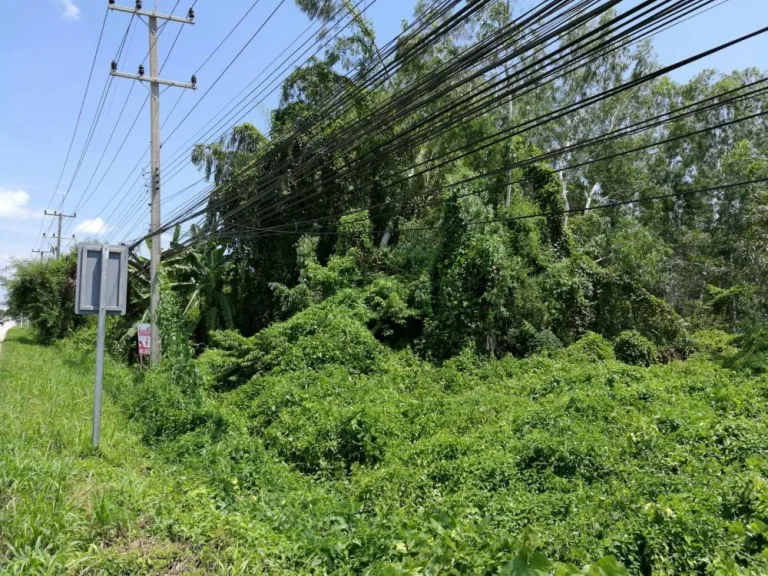 ขายที่ดินระยอง ตะพง ติดสุขุมวิท 2ไร่