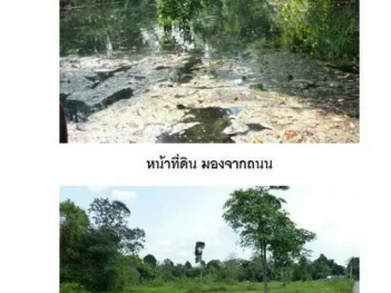 ที่ดินสวย ติดถนนลาดยาง หลังติดน้ำตก มวกเหล็ก -เจ็ดสาวน้อย จสระบุรี