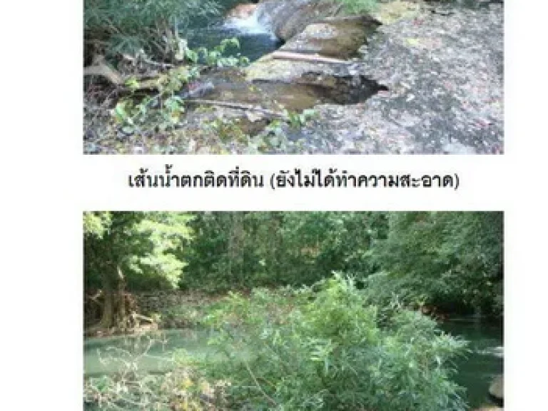 ที่ดินสวย ติดถนนลาดยาง หลังติดน้ำตก มวกเหล็ก -เจ็ดสาวน้อย จสระบุรี