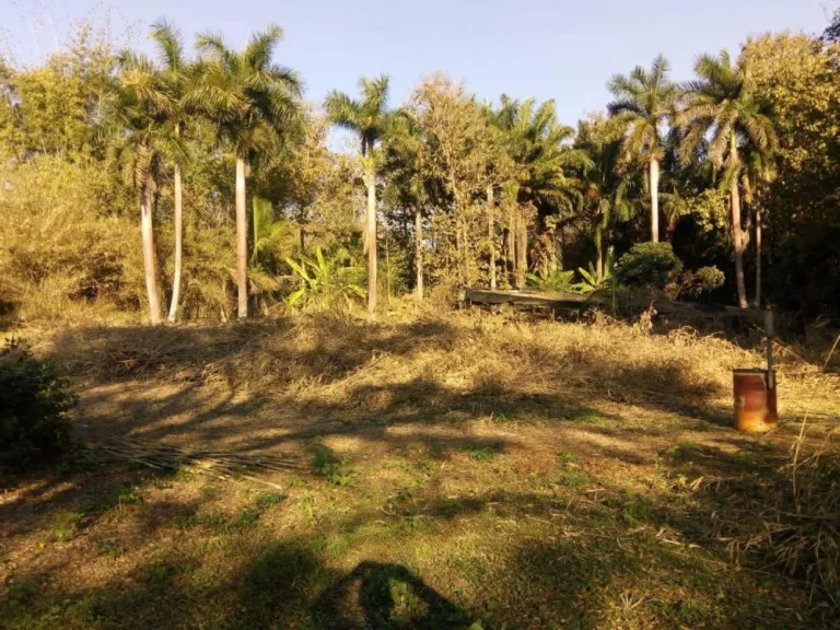 ที่ดินสวย ติดน้ำ 10ไร่ เหมาะสำหรับปลูกบ้าน ทำรีสอร์ต Land for sale 4acre next to river good location for resort or house