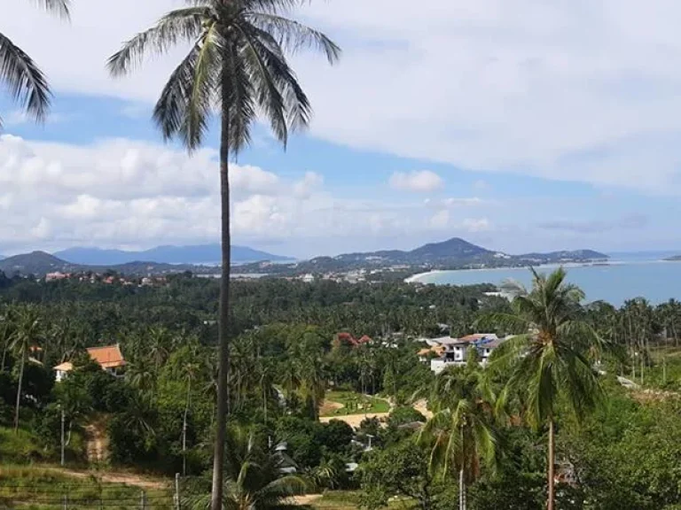 Sea view land for sale ขายที่ดินซีวิวเฉวงน้อยเกาะสมุย ถูกทีสุด Samui