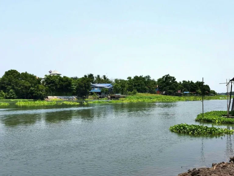 ขายที่ดินติดแม่น้ำ จังหวัดพระนครศรีอยุธยา ขายที่ดินติดแม่น้ำน้อย อบางไทร จอยุธยา มีที่ดินงอกถึง 2 งาน