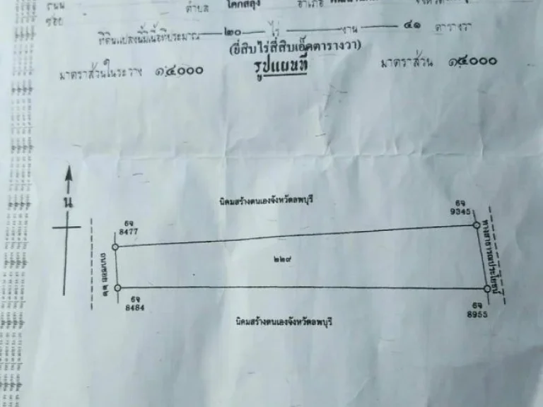 ที่ดินโฉนด จำนวน 20 ไร่ อพัฒนานิคม จลพบุรี