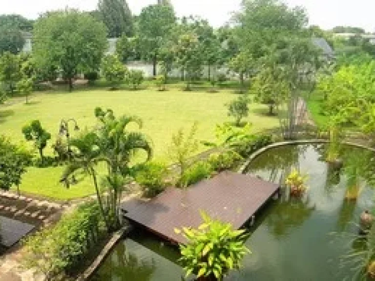 Luxury house 3 Rai for sale in Don Muang Soi Thoet Rachan Special price