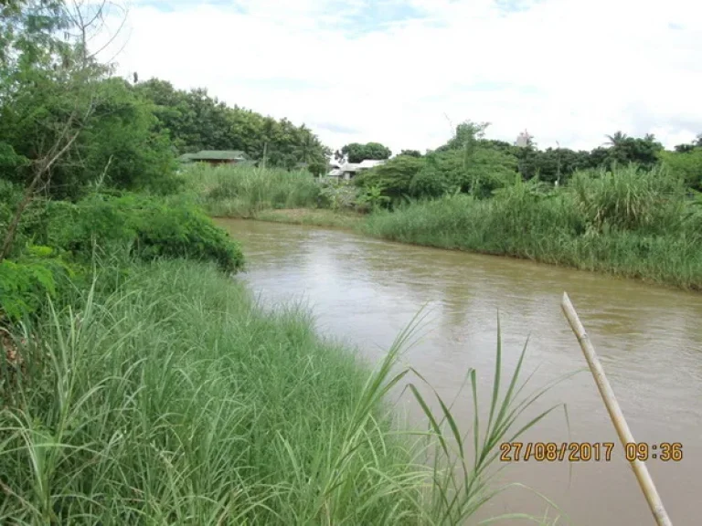 ที่ดิน บ้านช่อแล เชียงใหม่-ฝาง แม่แตง เชียงใหม่