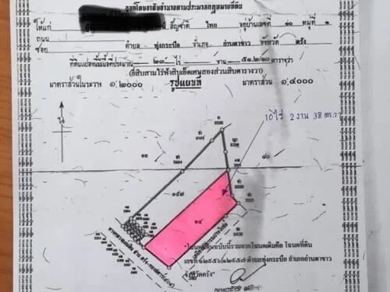 ขายที่ดินสวนปาล์ม เนื้อที่ 10 ไร่ 2 งาน 38 ตรว หน้ากว้าง 78 เมตร ติดถนนใหญ่ สายตรัง - ย่านตาขาว