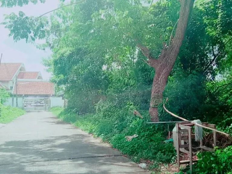 ขายที่ดินบ้านมอญ เรือนแพ ห่างถนน 900 เมตร