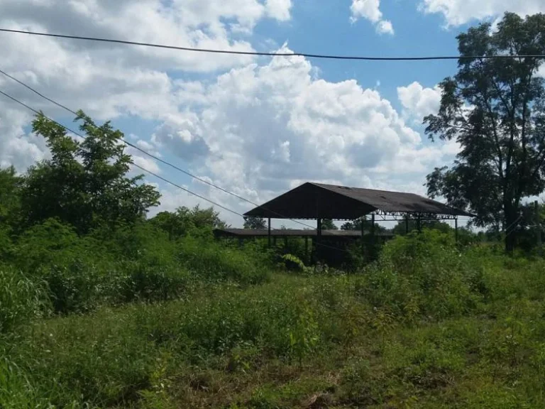 ขายที่ดินพร้อมบ่อเก็บน้ำ โรงเรือน และไม้ผลให้ผลผลิตแล้ว จำนวน 45 ไร่