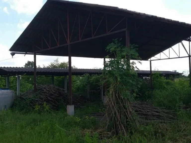 ขายที่ดินพร้อมบ่อเก็บน้ำ โรงเรือน และไม้ผลให้ผลผลิตแล้ว จำนวน 45 ไร่