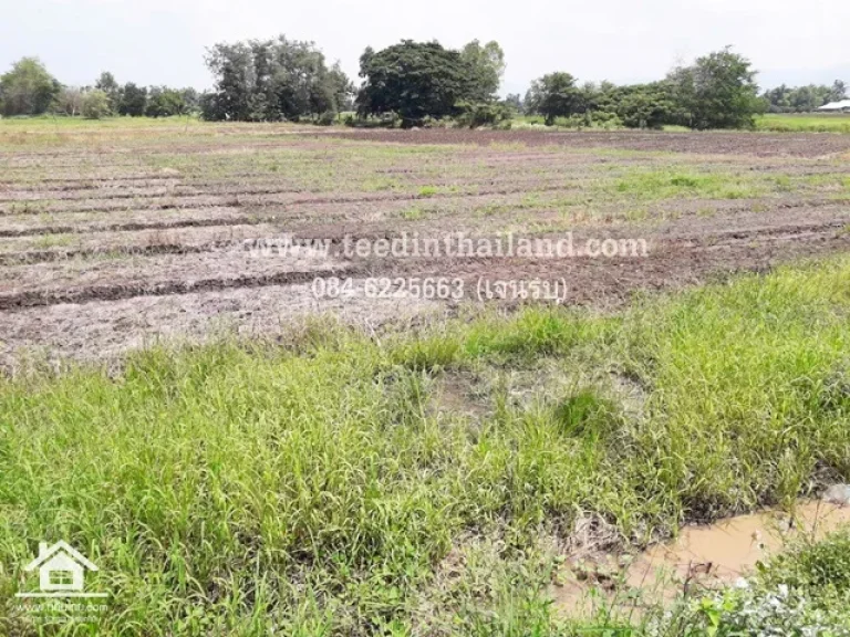 ขายที่ดินเพชรบูรณ์ โฉนด 3-2-28ไร่ ตหนองไขว่ อหล่มสัก จเพชรบูรณ์ รหัส L115