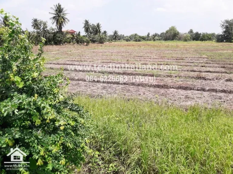 ขายที่ดินเพชรบูรณ์ โฉนด 3-2-28ไร่ ตหนองไขว่ อหล่มสัก จเพชรบูรณ์ รหัส L115