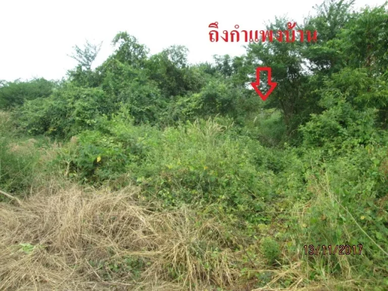 ที่ดินพร้อมสระน้ำ ตดอนทราย อบ้านโพธิ์ จฉะเชิงเทรา