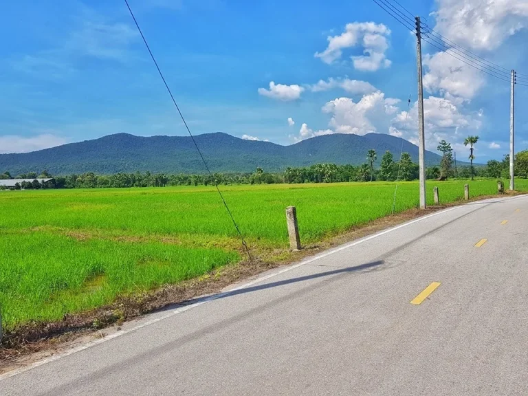 ขายที่นา ติดถนนลาดยางไฟน้ำพร้อม วิวเขา ที่ตั้ง ตออนกลาง อแม่ออน สันกำแพง เนื้อที่ 5 ไร่เศษ ต้องการขายยกแปลงไร่ละ 1200000 บาท ราคาต่อรองเจ้าขอ