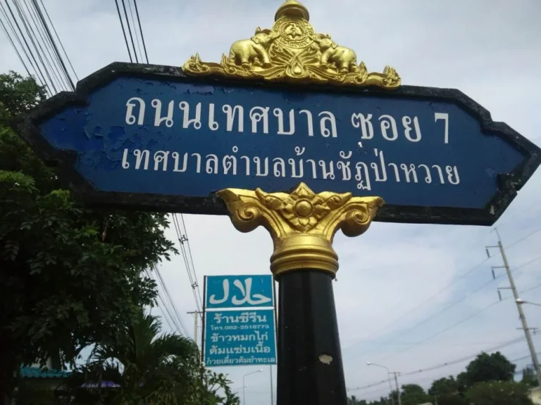 ขายที่ดินสวนผึ้ง ราชบุรี 19ไร่ 1งาน 95ตรว