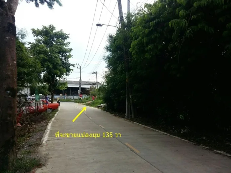 ขาย ที่ดินเปล่า 135 ตรว ถบางกรวย-จงถนอม ซบางขนุน 4