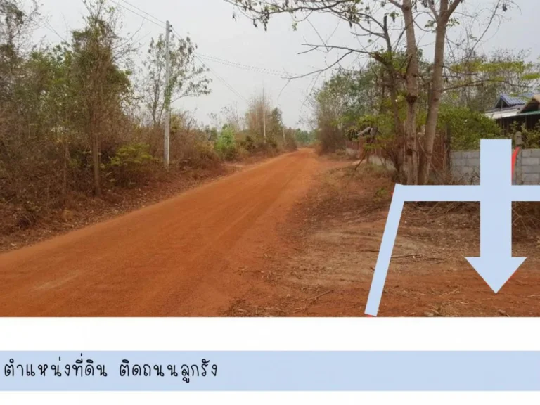 ขาย ที่ดิน 10 ไร่ C45 ตเชียงเพ็ง อกุดจับ อุดรธานี