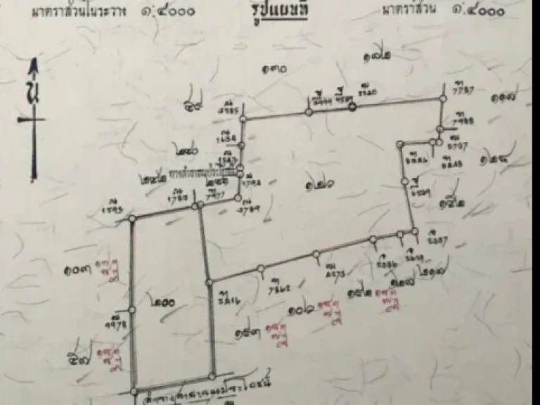 ขายที่ดิน 27 ไร่ 74 วา ตมารวิชัย อเสนา จพระนครศรีอยุธยา