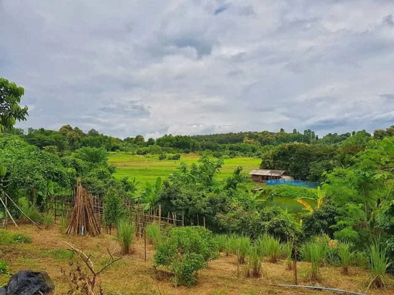 ขายที่ดินเนินเขา ที่สวน ติดลำเหมือง วิวเขาวิวทุ่งนา ที่ตั้ง ตสะลวง อแม่ริม จเชียงใหม่ เนื้อที่ 3 ไร่ 1 งาน 19 ตารางวา ต้องการขายยกแปลง 4000000 บ