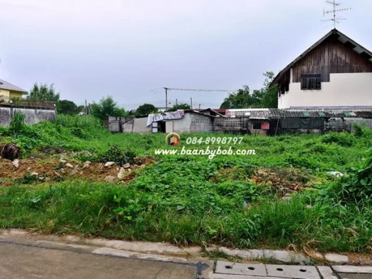 ขายที่ดิน พุทธมณฑล สาย1 ซอย 39 ซอยทุ่งมังกร7 เนื้อที่ 272 ตรวา เข้าซอย 200 เมตร