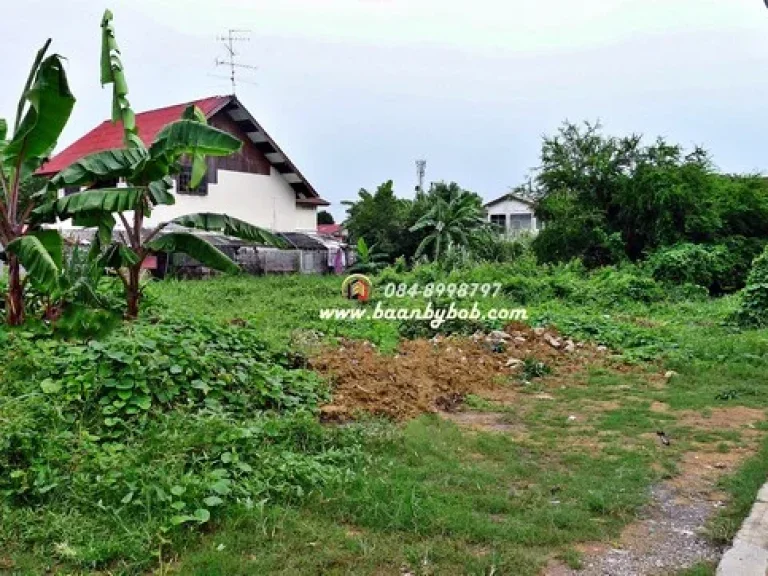 ขายที่ดิน พุทธมณฑล สาย1 ซอย 39 ซอยทุ่งมังกร7 เนื้อที่ 272 ตรวา เข้าซอย 200 เมตร