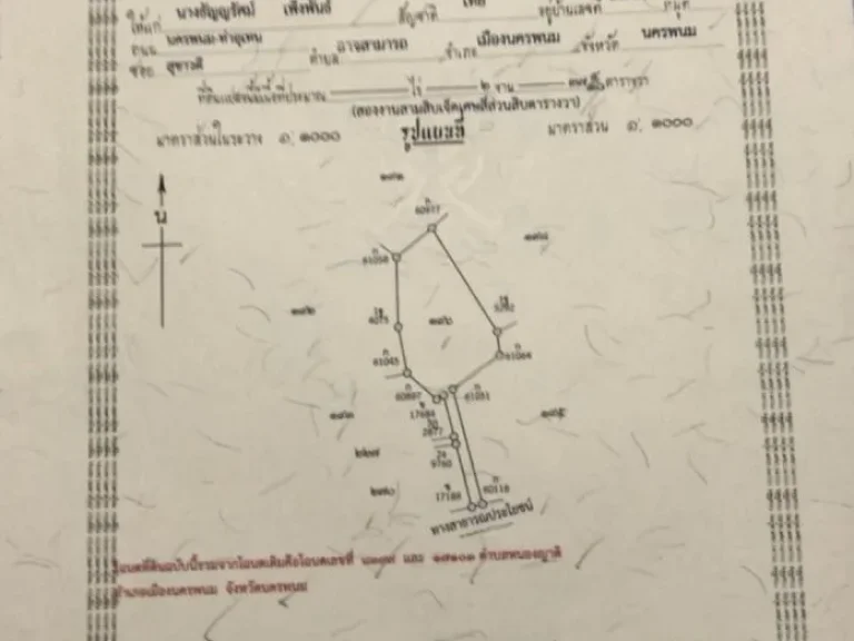 ขายที่ดินกลางเมืองหนองญาติ