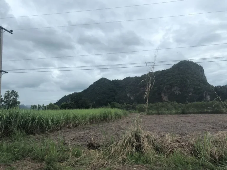 ขายที่ดิน 70ไร่ ห่างจากที่ว่าการอำเภอลานสัก ประมาณ 10กม ลานสัก อุทัยธานี