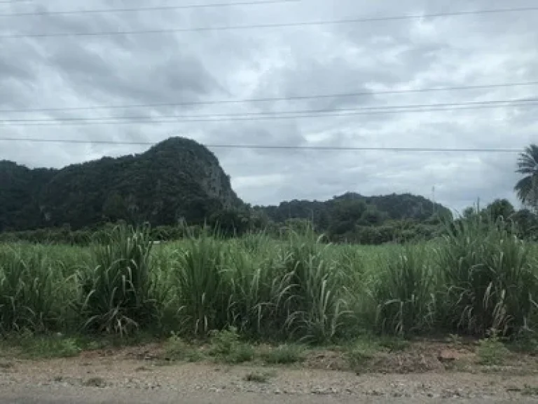 ขายที่ดินสวย 29ไร่ ทำเลหลังสถานีตำรวจภูธร ลานสัก อุทัยธานี