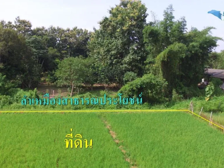 ขายที่นา 3-2-37 ไร่ ด้านข้างติดลำเหมือง 110เมตร ติดถนน 41เมตร วิวดอยสวยมาก