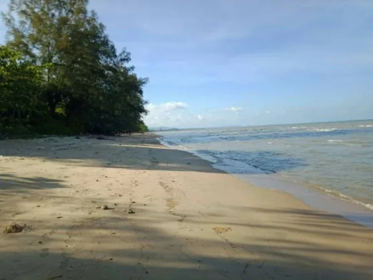 ขายที่ดินติดถนนติดทะเล จังหวัดชุมพร ติดถนนใหญ่และชายหาดส่วนตัว 9 ไร่ 3 งาน