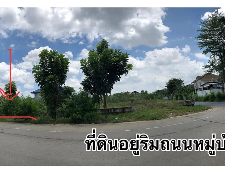 ขายที่ดิน หมู่บ้านร่วมเกื้อ พุทธมณฑลสาย4 ตรงข้ามพุทธมณฑลสถาน