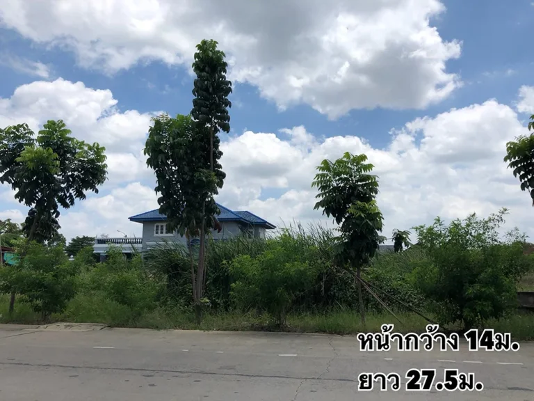 ขายที่ดิน หมู่บ้านร่วมเกื้อ พุทธมณฑลสาย4 ตรงข้ามพุทธมณฑลสถาน