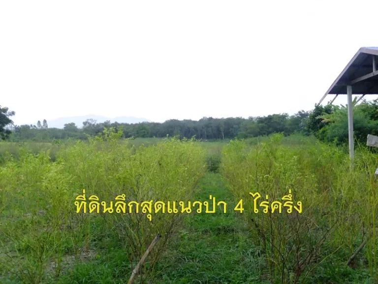 ขาย ที่ดินแปลงสวย ทำเลดี พร้อมอาคาร 6-3-98 ไร่ ติดถนนสายเอเชีย ขอนแก่น-เมืองเลย63160