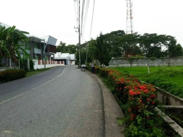 ขายที่ดินหลังโลตัสรวมโชค ติดถนนซอย