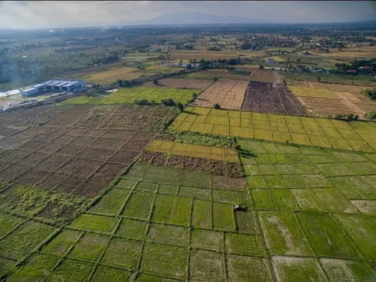 ขายที่ดินสวยสนามบินแห่งใหม่2 เนื้อที่ดิน 170ไร่ ที่ดินสวยมีอนาคต