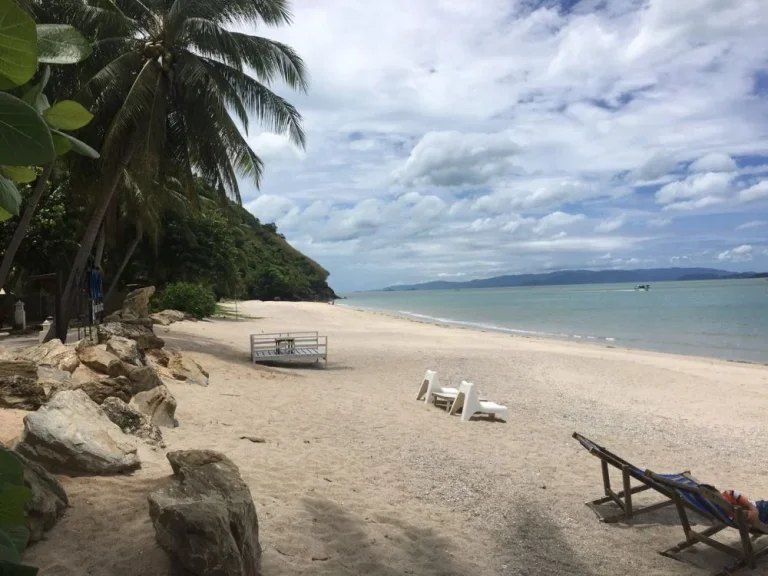 ขายที่ดิน 95ไร่ ติดทะเล และวิวภูเขา หาดท้องชิง ย่านสมุยใกล้หมู่เกาะอ่างทอง ขนอม นครศรีธรรมราช