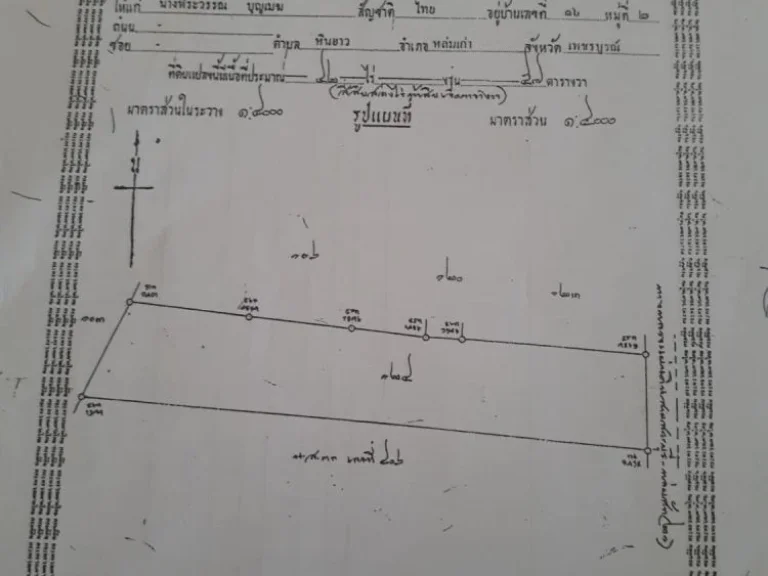 ขายที่นา ตห้วยสะแก อเมือง จเพชรบูรณ์ 42 ไร่ 57 ตรวา ติดทางหลวงหมายเลข 21 สระบุรี-หล่มสัก