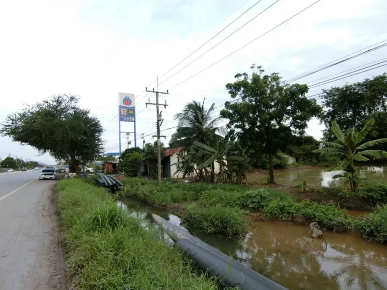 ขายที่ดินทำเลทอง 10ไร่ ติดปั๊มปตท ใกล้ มอเตอร์เวย์สายบางประอิน-โคราชตัดใหม่ หนองแค สระบุรี