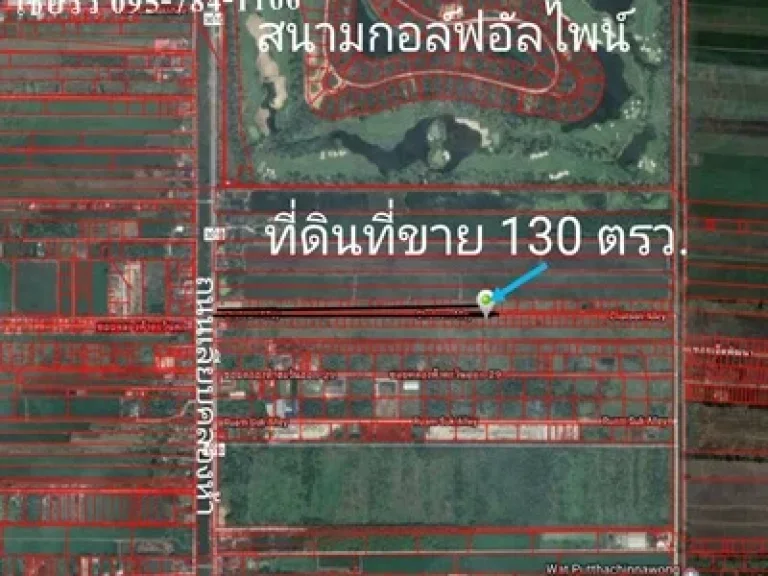 ขายที่ดินเปล่าจัดสรร 130ตารางวา คลองห้าฝั่งตะวันออก อคลองหลวง จปทุมธานี ที่ดินหน้ากว้าง 20 เมตร ลึก 265 เมตร 095-784-1166