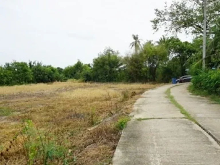 ที่ดิน ตนางบวช อเดิมบางนางบวช สุพรรณบุรี 2 ไร่ 135 ตรว