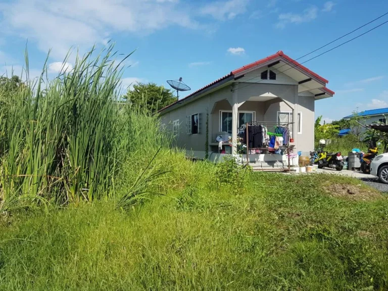 ขายที่ดินเมืองเอกรังสิต 100 ตรว ราคาถูก