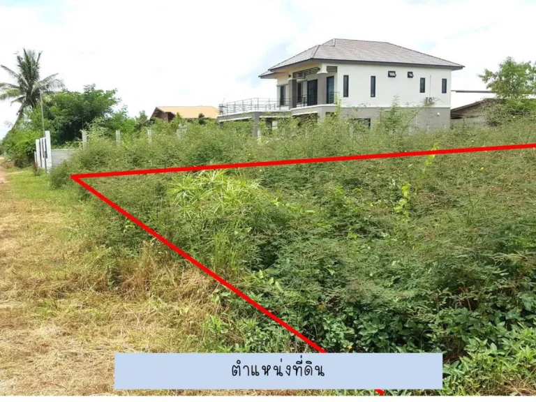 ขาย ที่ดิน 1 งาน C55 ใกล้ตัวเมืองอุดรธานี 100 sqwa land at Muang District Udonthani Province for sale