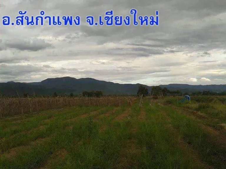 สันกำแพง ถนน 1317 เชียงใหม่