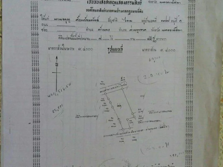 ขายไร