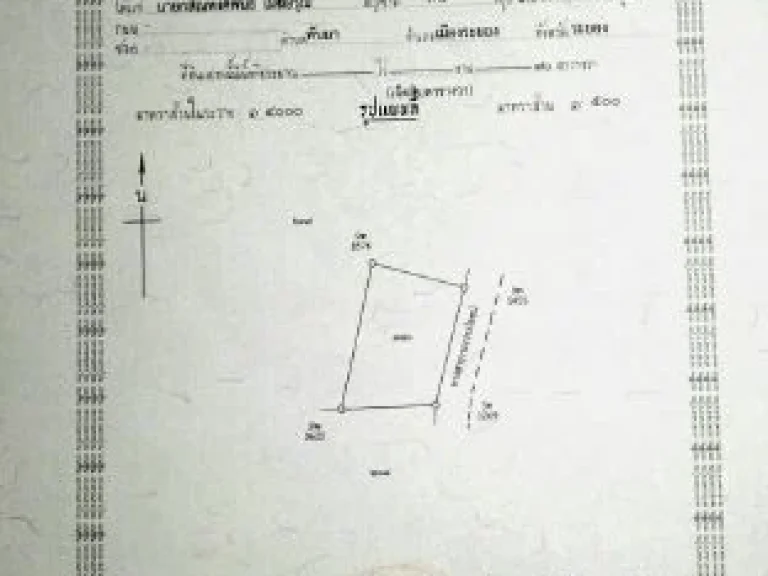 ขายที่ดินเปล่า ติดถนน อบต 70 ตรว จังหวัด ระยอง