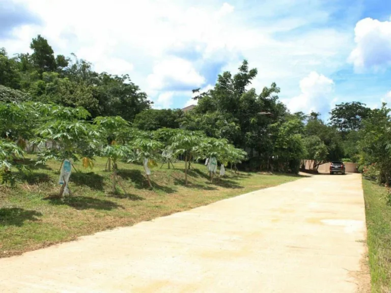 ขายบ้านเดี่ยว 2 ชั้น ถนนปุณณกัณฑ์ หาดใหญ่ สงขลา