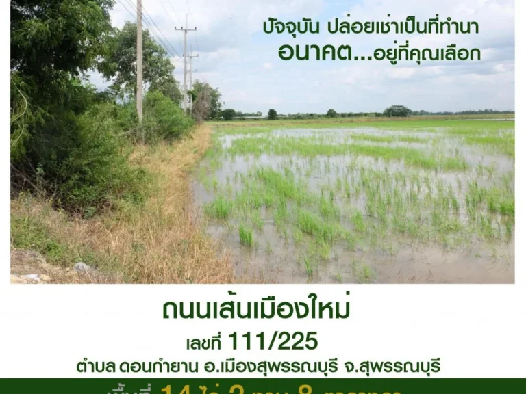 ขายที่ดินสุพรรณบุรี พื้นที่งาม เลขที่ดินสวย