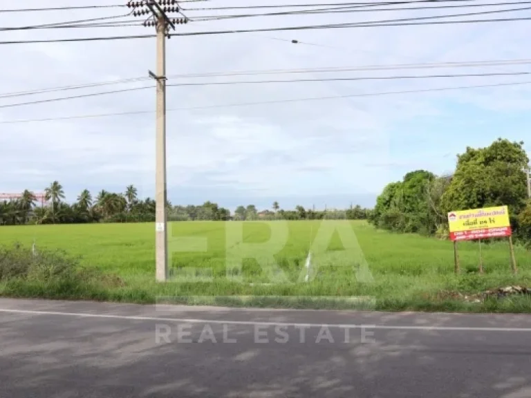 ที่ดินเปล่า เนื้อที่ 24 ไร่ ถนนรพชไทรน้อย-ลาดบัวหลวง อไทรน้อย จนนทบุรี