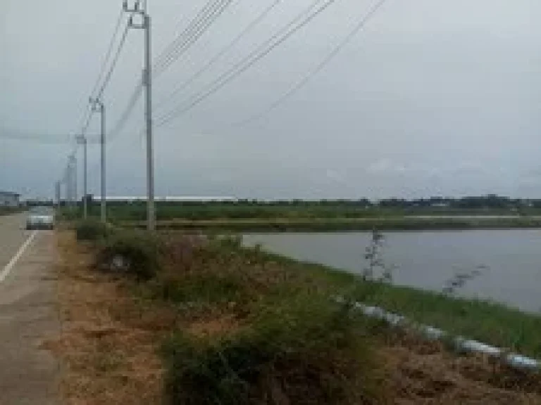 ขายที่ดิน แถววัดคลองสวน3ไร่ สามารถถมสร้างโรงงานอุตสาหกรรมได้ ขายเหมา3ไร่10ล้านบาท